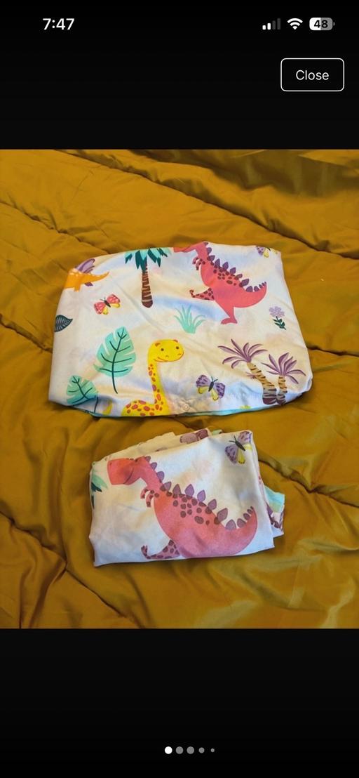  — Girls single dinosaur bedding