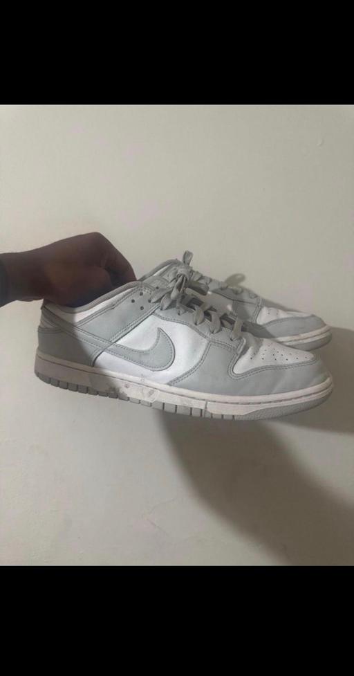  — Nike Dunk