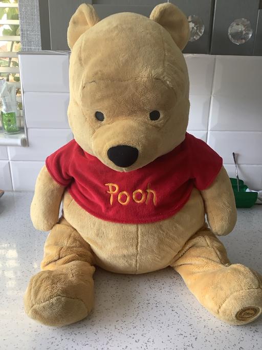  — Winnie the Pooh