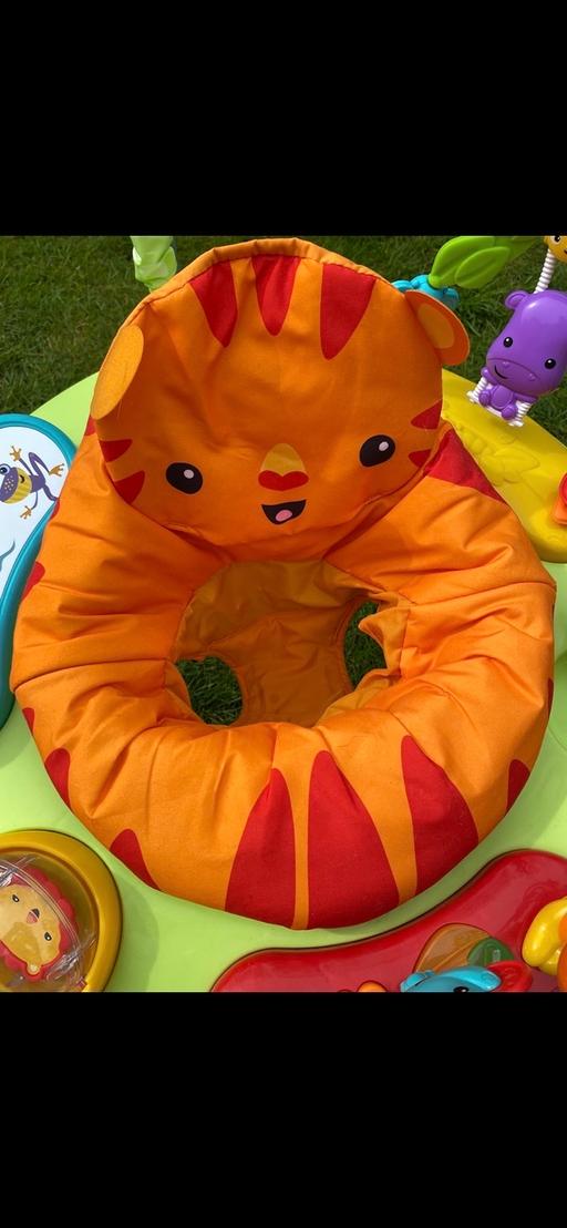  — Fisher-Price Rainforest Jumperoo