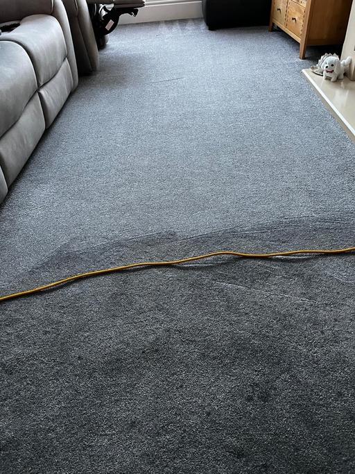  — Carpet cleaning