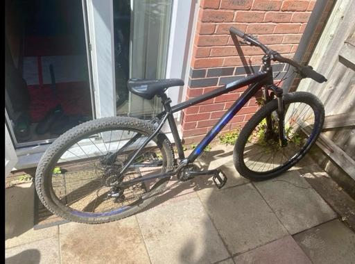  — Carrira Hellcat bike for older boys