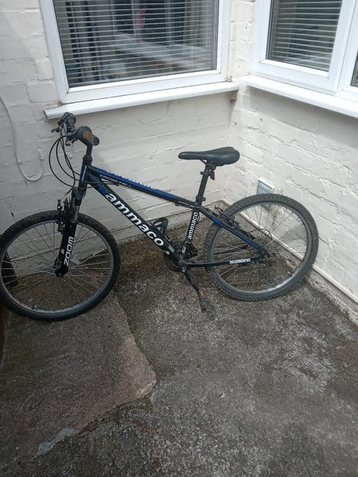  — mountain bike