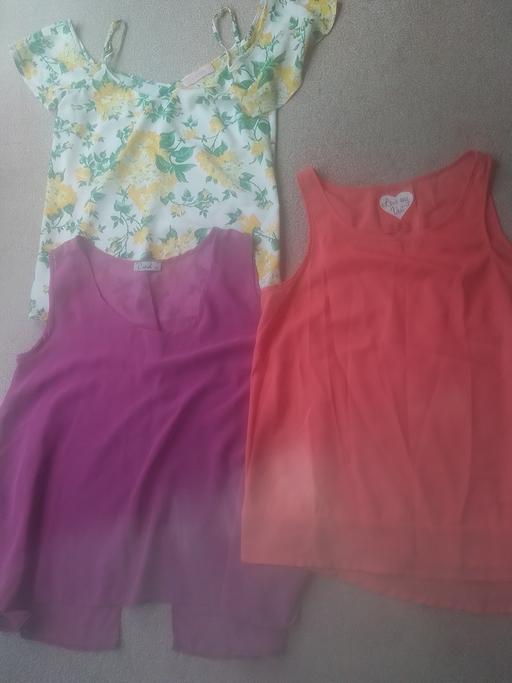  — THREE LADIES TOPS