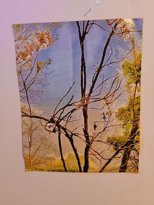  — A lg Gliceé art Print!