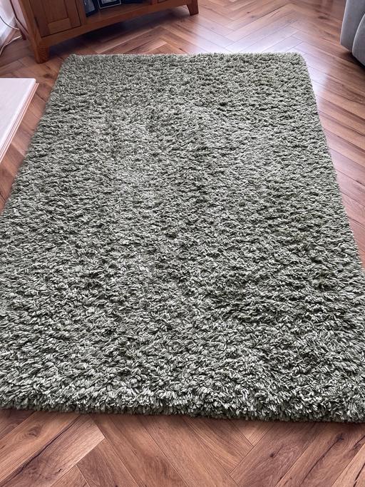  — Dunelm sage green rug