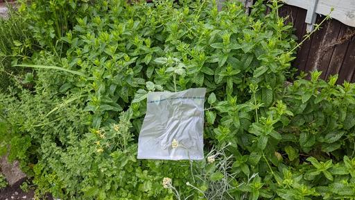  — Natural herbs for sale £3 per bag. Mint, Oreg