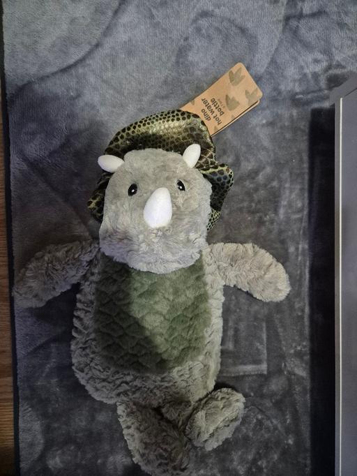  — new Dinosaur Hotwater Bottle