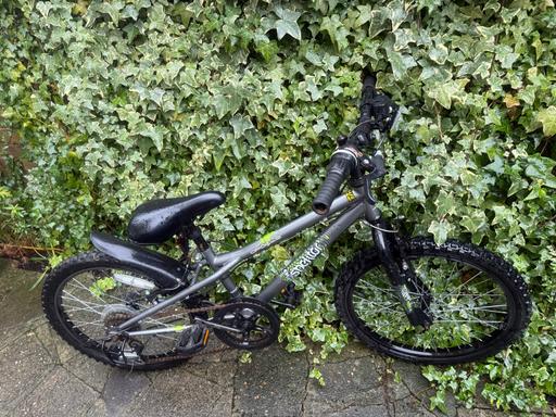  — Apollo Spector Kids Bike - Grey,