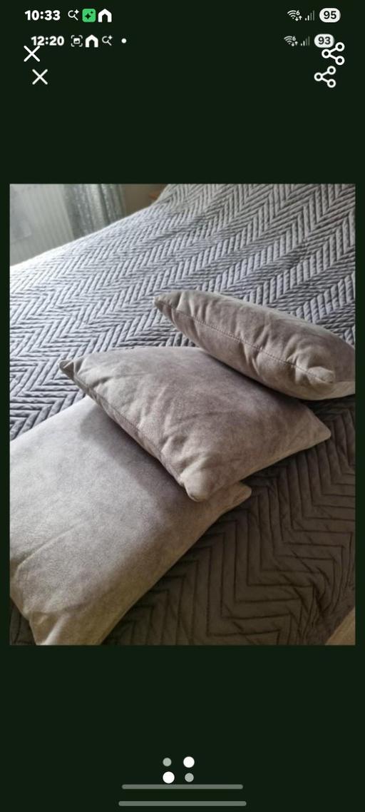  — x3 silver cushions 