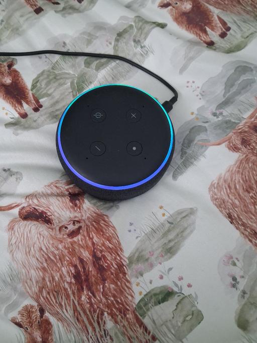  — Alexa
