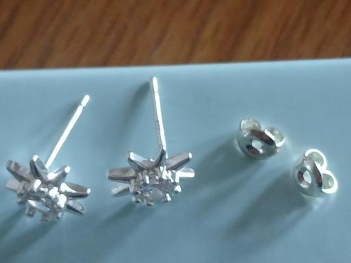  — Earrings)