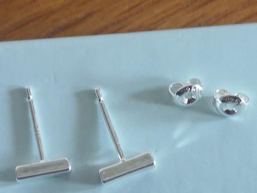  — Earrings)