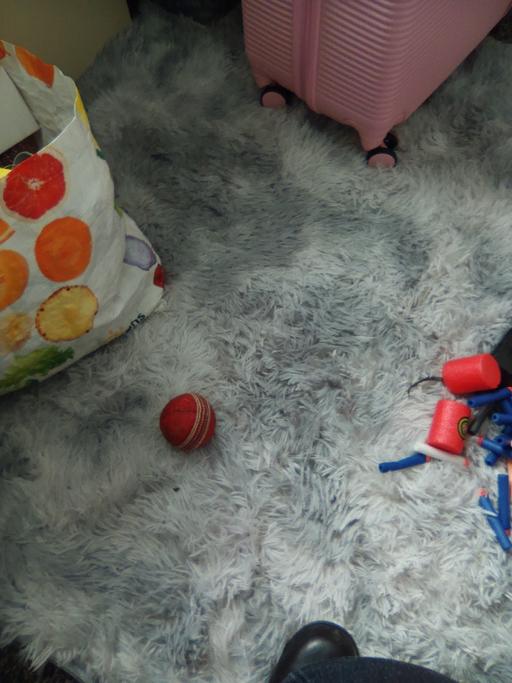  — cricket ball