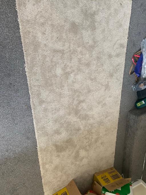  — Carpet FREE