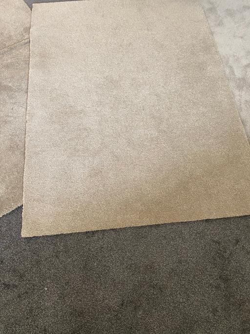  — Carpet