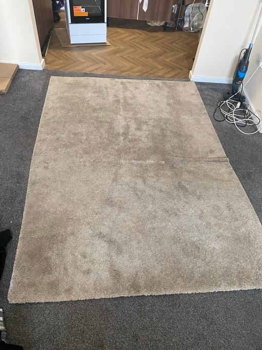  — IKEA Rug