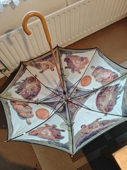  — Michelangelo the creation of Adam Umbrella