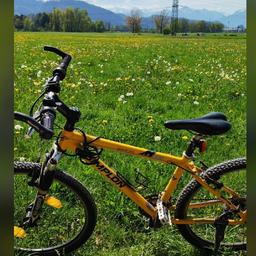 fahrradanhänger gutschein verpacken mit BMX-Fahrrad – personalisierbar mit Wunschtext – Geschenke Gefüllte Spitzpaprika mit Schafskäse data-logging Color:Chamäleon-Violett