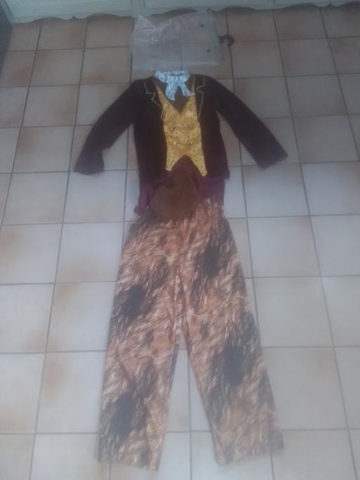  — ROALD DAHL FANCY DRESS OUTFIT