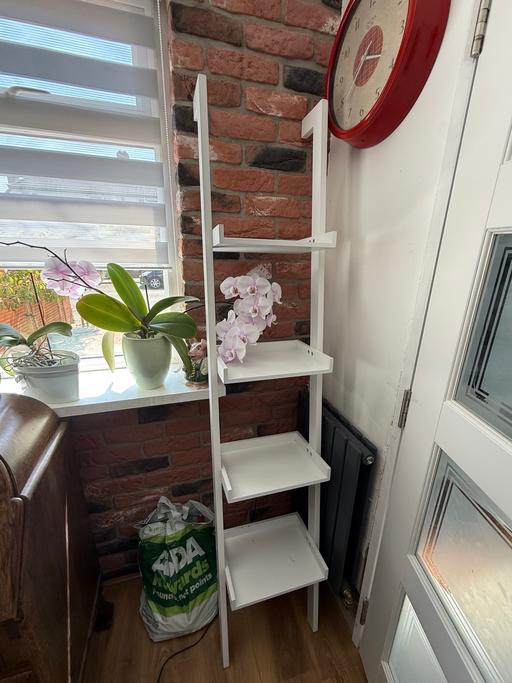  — White shelves ladder