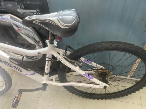  — Cross Lxt300 girls bike