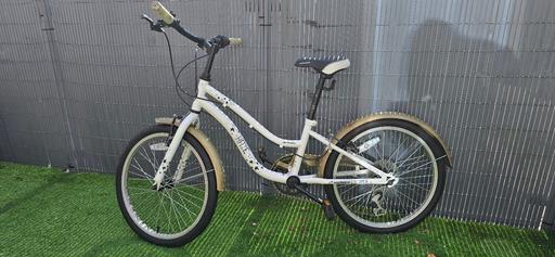  — Bicycle