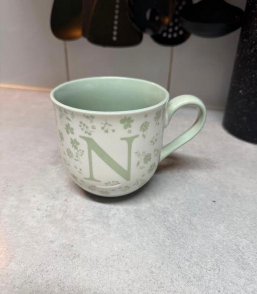  — Letter N mug