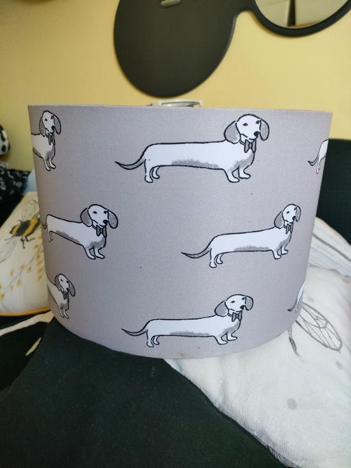  — Lamp Shade Dash