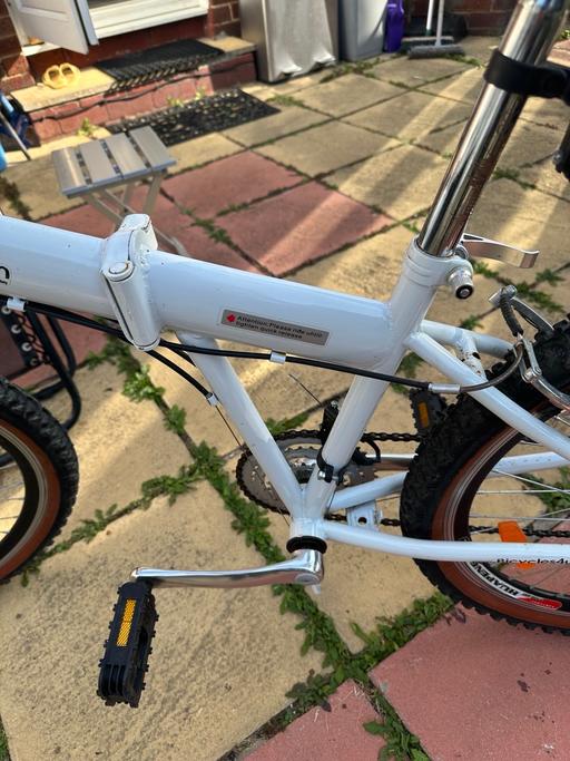  — Junior and young bike