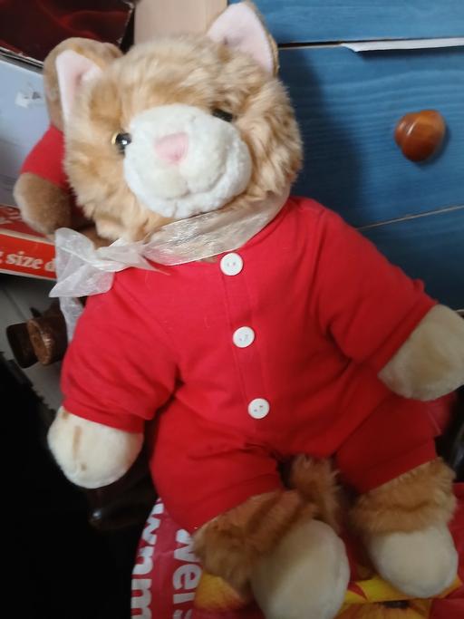 — cat teddy like new meoes