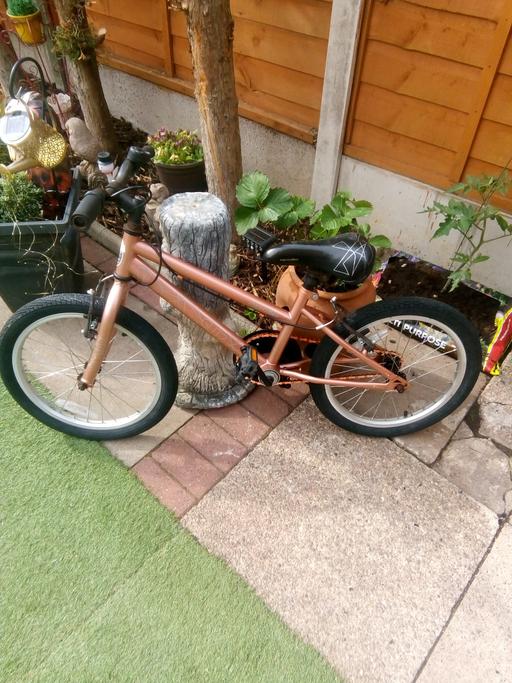  — Girls Bike