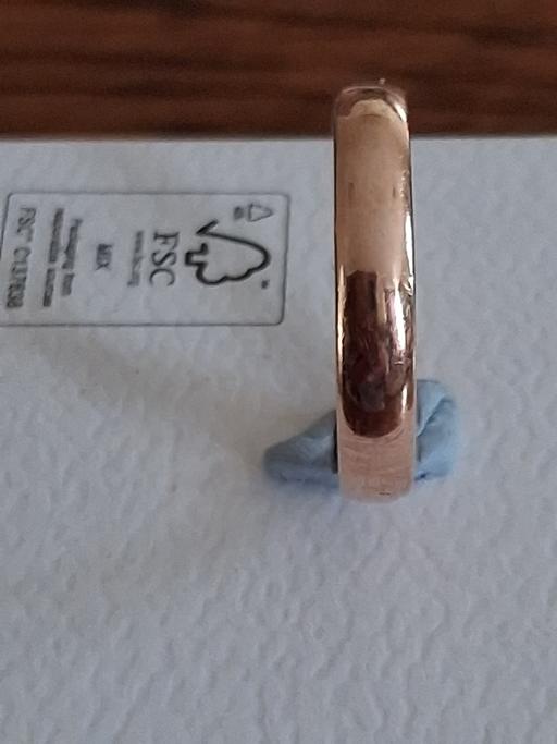  — 9ct Rose Gold Band.