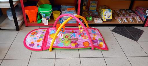 — Move and play activity gym