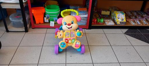  — Smart stages learn with puppy walker