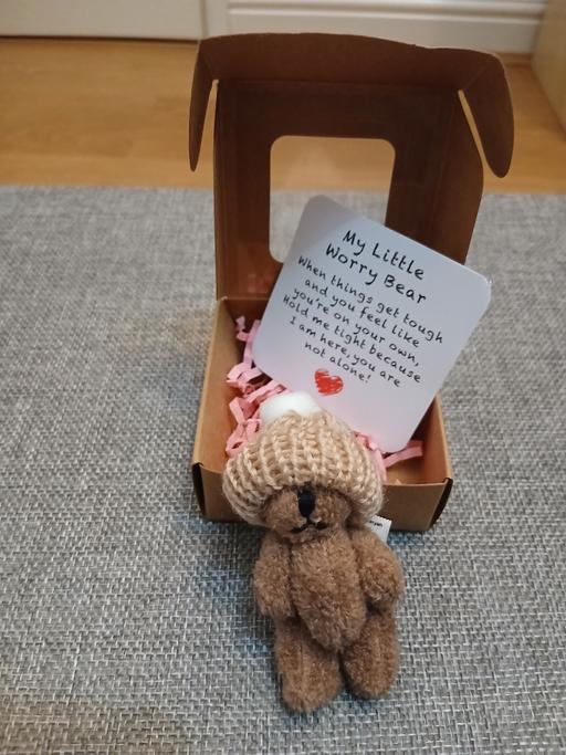  — Worry Bear New
