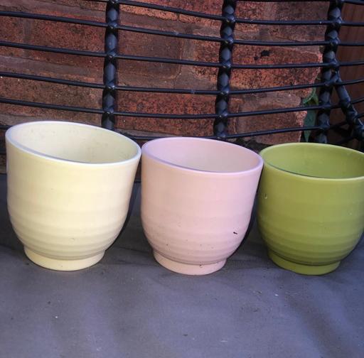  — Plant pots