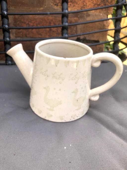  — Watering can plant pot