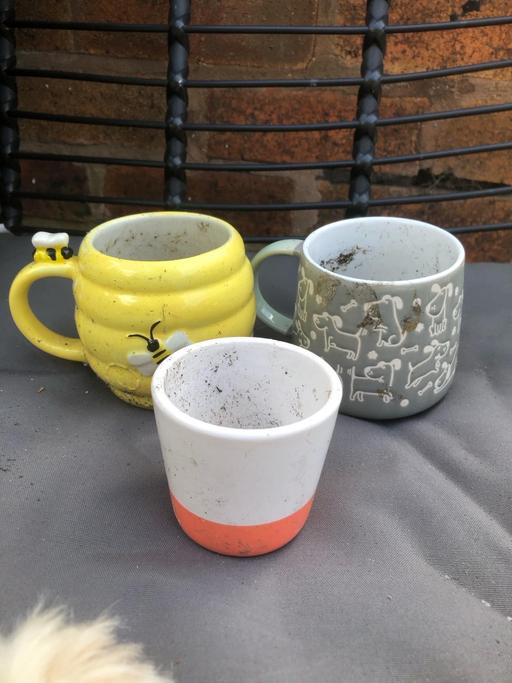  — Plant pots