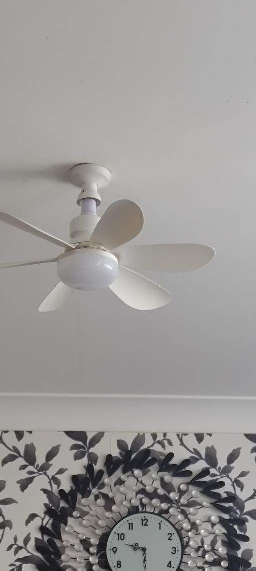 fans with light