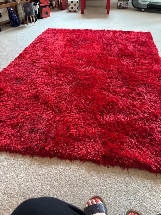  — Red Rug
