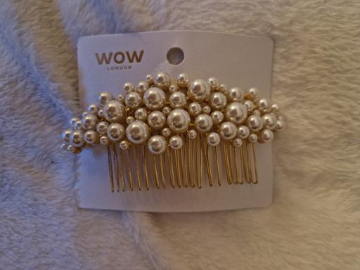 — bn hairslide
