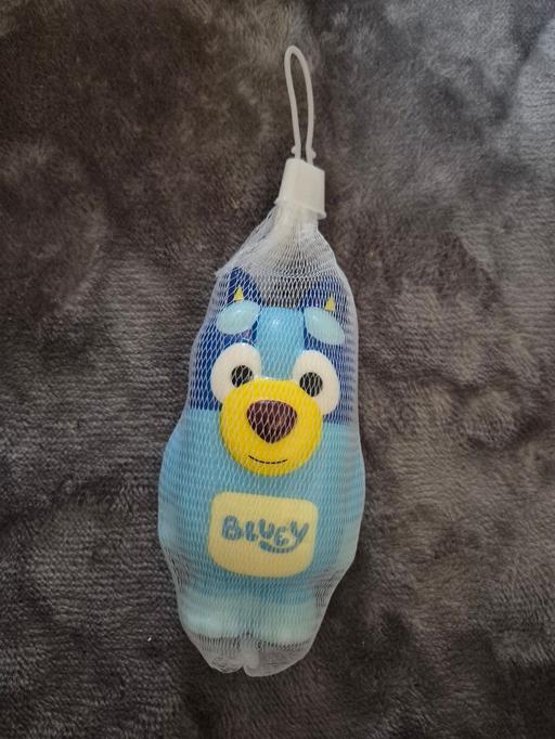  — new Bluey Slow Rising Squishy