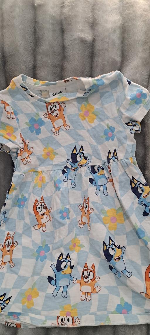  — Bluey Age 2-3