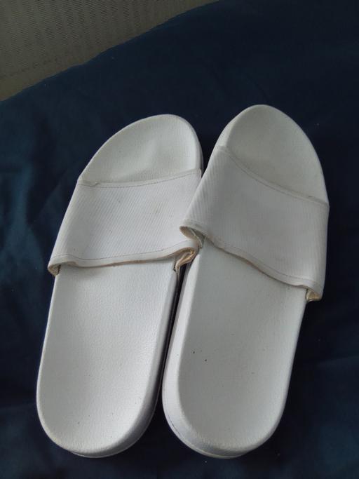  — sandles