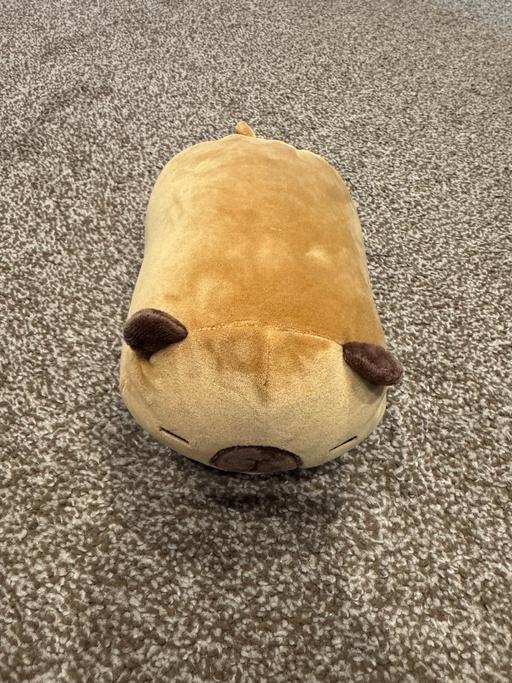  — Small, soft Capybara squishy toy
