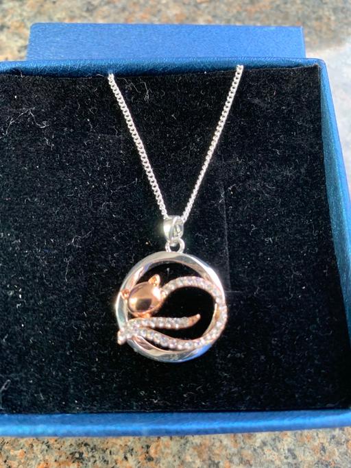  — Cat 🐈 necklace buyer collect