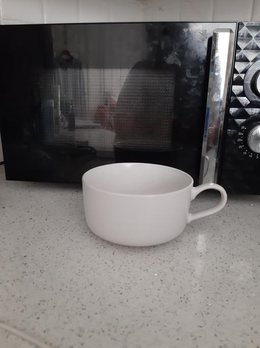  — large cup