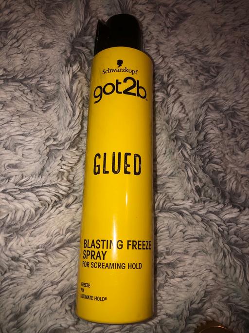  — Got2b glued spray