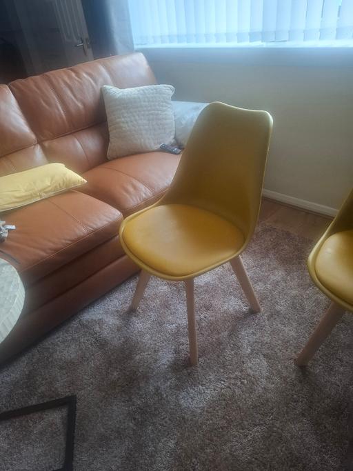  — dinning chairs
